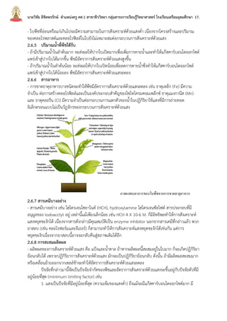 นายวิชัย ลิขิตพรรักษ์ ตาแหน่งครู คศ.1 สาขาชีววิทยา กลุ่มสาระการเรียนรู้วิทยาศาสตร์ โรงเรียนเตรียมอุดมศึกษา 17.
- ใบพืชที่อ่อนหรือแก่เกินไปจะมีความสามารถในการสังเคราะห์ด้วยแสงต่า เนื่องจากโครงสร้างและปริมาณ
ของคลอโรพลาสต์และคลอโรฟิลล์ในใบยังไม่เหมาะสมต่อกระบวนการสังเคราะห์ด้วยแสง
2.6.5 ปริมาณนาที่พืชได้รับ
- ถ้ามีปริมาณน้าในลาต้นมาก จะส่งผลให้ปากใบเปิดมากเพื่อเพิ่มการคายน้าและทาให้แก๊สคาร์บอนไดออกไซด์
แพร่เข้าสู่ปากใบได้มากขึ้น พืชมีอัตราการสังเคราะห์ด้วยแสงสูงขึ้น
- ถ้าปริมาณน้าในลาต้นน้อย จะส่งผลให้ปากใบเปิดน้อยเพื่อลดการคายน้าซึ่งทาให้แก๊สคาร์บอนไดออกไซด์
แพร่เข้าสู่ปากใบได้น้อยลง พืชมีอัตราการสังเคราะห์ด้วยแสงลดลง
2.6.6 สารอาหาร
- การขาดธาตุอาหารบางชนิดจะทาให้พืชมีอัตราการสังเคราะห์ด้วยแสงลดลง เช่น ธาตุเหล็ก (Fe) มีความ
จาเป็น ต่อการสร้างคลอโรฟิลล์และเป็นองค์ประกอบสาคัญของไซโทโครมคอมเพล็กซ์ ธาตุแมงกานีส (Mn)
และ ธาตุคลอรีน (Cl) มีความจาเป็นต่อกระบวนการแตกตัวของน้าในปฏิกิริยาใช้แสงที่มีการถ่ายทอด
อิเล็กตรอนแบบไม่เป็นวัฏจักรของกระบวนการสังเคราะห์ด้วยแสง
ภาพแสดงอาการของใบพืชจากการขาดธาตุอาหาร
2.6.7 สารเคมีบางอย่าง
- สารเคมีบางอย่าง เช่น ไฮโดรเจนไซยาไนด์ (HCH), hydroxylamine ไฮโดรเจนซัลไฟด์ สารประกอบที่มี
อนุมูลของ iodoacctyl อยู่ เหล่านี้แม้เพียงเล็กน้อย เช่น HCH 4 X 10-6 M. ก็มีอิทธิพลทาให้การสังเคราะห์
แสงหยุดชะงักได้ เนื่องจากสารดังกล่าวมีคุณสมบัติเป็น enzyme inhibitor นอกจากสารเคมีที่กล่าวแล้ว พวก
ยาสลบ (เช่น คลอโรฟอร์มและอีเธอร์) ก็สามารถทาให้การสังเคราะห์แสงหยุดชะงักได้เช่นกัน แต่การ
หยุดชะงักเนื่องจากยาสลบนี้อาจจะกลับคืนสู่สภาพเดิมได้อีก
2.6.8 การสะสมผลิตผล
- ผลิตผลของการสังเคราะห์ด้วยแสง คือ แป้งและน้าตาล ถ้าหากผลิตผลนี้สะสมอยู่ในใบมาก ก็จะเกิดปฏิกิริยา
ย้อนกลับได้ เพราะปฏิกิริยาการสังเคราะห์ด้วยแสง มักจะเป็นปฏิกิริยาย้อนกลับ ดังนั้น ถ้ามีผลิตผลสะสมมาก
หรือเคลื่อนย้ายออกจากเซลล์ช้าจะทาให้อัตราการสังเคราะห์ด้วยแสงลดลง
ปัจจัยที่กล่าวมานี้จัดเป็นปัจจัยจากัดของพืชและอัตราการสังเคราะห์ด้วยแสงจะขึ้นอยู่กับปัจจัยตัวที่มี
อยู่น้อยที่สุด (minimum limiting factor) เช่น
1. แสงเป็นปัจจัยที่มีอยู่น้อยที่สุด (ความเข้มของแสงต่า) ถึงแม้จะมีแก๊สคาร์บอนไดออกไซด์มาก มี
 