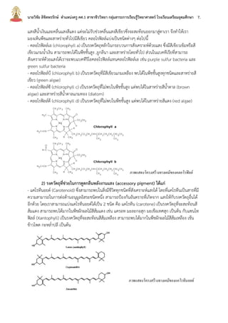 นายวิชัย ลิขิตพรรักษ์ ตาแหน่งครู คศ.1 สาขาชีววิทยา กลุ่มสาระการเรียนรู้วิทยาศาสตร์ โรงเรียนเตรียมอุดมศึกษา 7.
แสงสีน้าเงินและคลื่นแสงสีแดง แต่จะไม่รับช่วงคลื่นแสงสีเขียวซึ่งจะสะท้อนออกมาสู่ตาเรา จึงทาให้เรา
มองเห็นพืชและสาหร่ายทั่วไปมีสีเขียว คลอโรฟิลล์แบ่งเป็นชนิดต่างๆ ต่อไปนี้
- คลอโรฟิลล์เอ (chlorophyll a) เป็นรงควัตถุหลักในกระบวนการสังเคราะห์ด้วยแสง ซึ่งมีสีเขียวเข้มหรือสี
เขียวแกมน้าเงิน สามารถพบได้ในพืชชั้นสูง ,ยูกลีนา และสาหร่ายโดยทั่วไป ส่วนในแบคทีเรียที่สามารถ
สังเคราะห์ด้วยแสงได้เราจะพบแบคทีริโอคลอโรฟิลล์แทนคลอโรฟิลล์เอ เช่น purple sulfur bacteria และ
green sulfur bacteria
- คลอโรฟิลล์บี (chlorophyll b) เป็นรงควัตถุที่มีสีเขียวแกมเหลือง พบได้ในพืชชั้นสูงทุกชนิดและสาหร่ายสี
เขียว (green algae)
- คลอโรฟิลล์ซี (chlorophyll c) เป็นรงควัตถุที่ไม่พบในพืชชั้นสูง แต่พบได้ในสาหร่ายสีน้าตาล (brown
algae) และสาหร่ายสีน้าตาลแกมทอง (diatom)
- คลอโรฟิลล์ดี (chlorophyll d) เป็นรงควัตถุที่ไม่พบในพืชชั้นสูง แต่พบได้ในสาหร่ายสีแดง (red algae)
2) รงควัตถุที่ช่วยในการดูดกลืนพลังงานแสง (accessory pigment) ได้แก่
- แคโรทีนอยด์ (Carotenoid) ซึ่งสามารถพบในสิ่งมีชีวิตทุกชนิดที่สังเคราะห์แสงได้ โดยที่แคโรทีนเป็นสารที่มี
ความสามารถในการต่อต้านอนุมูลอิสระชนิดหนึ่ง สามารถป้องกันอันตรายที่เกิดจาก แสงให้กับรงควัตถุอื่นได้
อีกด้วย โดยเราสามารถแบ่งแคโรทีนอยด์ได้เป็น 2 ชนิด คือ แคโรทีน (carotene) เป็นรงควัตถุที่จะสะท้อนสี
ส้มแดง สามารถพบได้มากในพืชผักผลไม้สีส้มแดง เช่น แครอท มะละกอสุก มะเขือเทศสุก เป็นต้น กับแซนโท
ฟิลล์ (Xantophyll) เป็นรงควัตถุที่จะสะท้อนสีส้มเหลือง สามารถพบได้มากในพืชผักผลไม้สีส้มเหลือง เช้น
ข้าวโพด กะหล่าปลี เป็นต้น
ภาพแสดงโครงสร้างทางเคมีของคลอโรฟิลล์
ภาพแสดงโครงสร้างทางเคมีของแคโรทีนอยด์
 