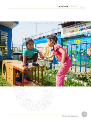 107
Currículo Nacional
cn
Ministerio de Educación
 