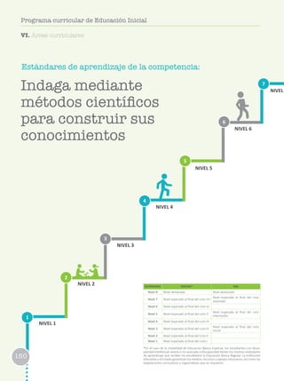 150
Programa curricular de Educación Inicial
Estándares de aprendizaje de la competencia:
1
2
3
6
4
7
5
NIVEL 1
NIVEL 2
NIVEL 3
NIVEL 4
NIVEL 5
NIVEL 6
NIVEL
ESTÁNDARES EBR/EBE* EBA
Nivel 8 Nivel destacado Nivel destacado
Nivel 7 Nivel esperado al final del ciclo VII
Nivel esperado al final del ciclo
avanzado
Nivel 6 Nivel esperado al final del ciclo VI
Nivel 5 Nivel esperado al final del ciclo V
Nivel esperado al final del ciclo
intermedio
Nivel 4 Nivel esperado al final del ciclo IV
Nivel 3 Nivel esperado al final del ciclo III
Nivel esperado al final del ciclo
Inicial
Nivel 2 Nivel esperado al final del ciclo II
Nivel 1 Nivel esperado al final del ciclo I
*En el caso de la modalidad de Educación Básica Especial, los estudiantes con disca-
pacidad intelectual severa o no asociada a discapacidad tienen los mismos estándares
de aprendizaje que reciben los estudiantes la Educación Básica Regular. La institución
educativa y el Estado garantizan los medios, recursos y apoyos necesarios, así como las
adaptaciones curriculares y organizativas que se requieren.
Indaga mediante
métodos científicos
para construir sus
conocimientos
150
Programa curricular de Educación Inicial
VI. Áreas curriculares
 