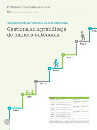 206
Estándares de aprendizaje de la competencia:
1
2
3
6
4
7
5
NIVEL 1
NIVEL 2
NIVEL 3
NIVEL 4
NIVEL 5
NIVEL 6
NIVEL
VII. Competencias transversales.
ESTÁNDARES EBR/EBE* EBA
Nivel 8 Nivel destacado Nivel destacado
Nivel 7 Nivel esperado al final del ciclo VII
Nivel esperado al final del ciclo
avanzado
Nivel 6 Nivel esperado al final del ciclo VI
Nivel 5 Nivel esperado al final del ciclo V
Nivel esperado al final del ciclo
intermedio
Nivel 4 Nivel esperado al final del ciclo IV
Nivel 3 Nivel esperado al final del ciclo III
Nivel esperado al final del ciclo
Inicial
Nivel 2 Nivel esperado al final del ciclo II
Nivel 1 Nivel esperado al final del ciclo I
*En el caso de la modalidad de Educación Básica Especial, los estudiantes con disca-
pacidad intelectual severa o no asociada a discapacidad tienen los mismos estándares
de aprendizaje que reciben los estudiantes la Educación Básica Regular. La institución
educativa y el Estado garantizan los medios, recursos y apoyos necesarios, así como las
adaptaciones curriculares y organizativas que se requieren.
Gestiona su aprendizaje
de manera autónoma
206
Programa curricular de Educación Inicial
 