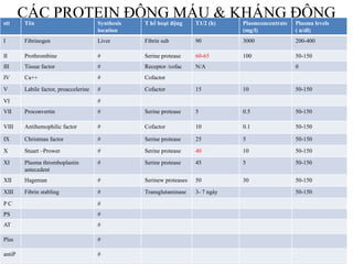 CÁC PROTEIN ĐÔNG MÁU & KHÁNG ĐÔNGstt Tên Synthesis
location
T hể hoạt động T1/2 (h) Plasmconcentrate
(mg/l)
Plasma levels
( u/dl)
I Fibrinogen Liver Fibrin sub 90 3000 200-400
II Prothrombine # Serine protease 60-65 100 50-150
III Tissue factor # Receptor /cofac N/A 0
IV Ca++ # Cofactor
V Labile factor, proaccelerine # Cofactor 15 10 50-150
VI #
VII Proconvertin # Serine protease 5 0.5 50-150
VIII Antihemophilic factor # Cofactor 10 0.1 50-150
IX Christmas factor # Serine protease 25 5 50-150
X Stuart –Prower # Serine protease 40 10 50-150
XI Plasma thromboplastin
antecedent
# Serine protease 45 5 50-150
XII Hageman # Serinew proteases 50 30 50-150
XIII Fibrin stabling # Transglutaminase 3- 7 ngày 50-150
P C #
PS #
AT #
Plas #
antiP #
 