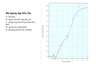 Độ ngưng tập tiểu cầu
A= khởi đầu
B= agonist làm đổi dạng tiểu cầu
C= gđ tập trung tiểu cầu giai đoạn khởi
phát
D= gđ tiểu cầu phóng thích
E= gđ ngƣng tập tiểu cầu thứ phát
 