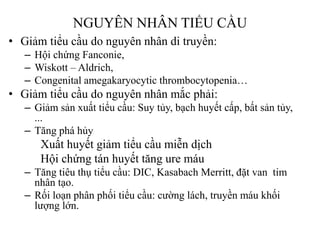 NGUYÊN NHÂN TIỂU CẦU
• Giảm tiểu cầu do nguyên nhân di truyền:
– Hội chứng Fanconie,
– Wiskott – Aldrich,
– Congenital amegakaryocytic thrombocytopenia…
• Giảm tiểu cầu do nguyên nhân mắc phải:
– Giảm sản xuất tiểu cầu: Suy tủy, bạch huyết cấp, bất sản tủy,
...
– Tăng phá hủy
Xuất huyết giảm tiểu cầu miễn dịch
Hội chứng tán huyết tăng ure máu
– Tăng tiêu thụ tiểu cầu: DIC, Kasabach Merritt, đặt van tim
nhân tạo.
– Rối loạn phân phối tiểu cầu: cƣờng lách, truyền máu khối
lƣợng lớn.
 