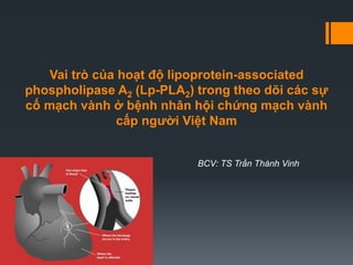 Vai trò của hoạt độ lipoprotein-associated
phospholipase A2 (Lp-PLA2) trong theo dõi các sự
cố mạch vành ở bệnh nhân hội chứng mạch vành
cấp người Việt Nam
BCV: TS Trần Thành Vinh
 