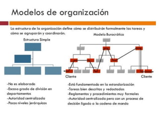  Modelos mecánicos y orgánicos del diseño organizacional.