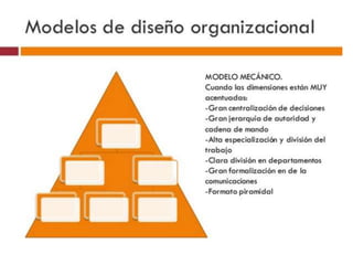  Modelos mecánicos y orgánicos del diseño organizacional.