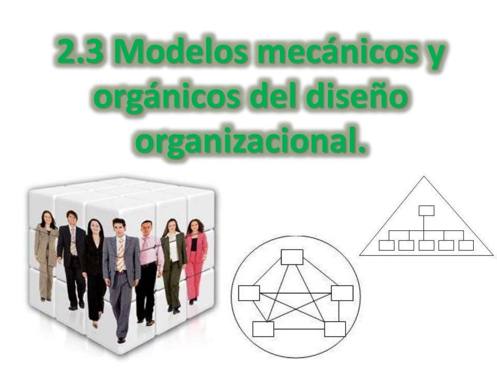 2.3 Modelos mecánicos y orgánicos del diseño organizacional.