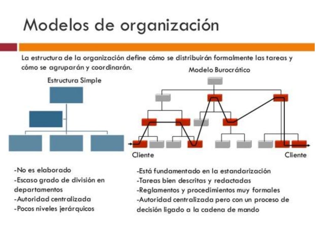 2.3 Modelos mecánicos y orgánicos del diseño organizacional.