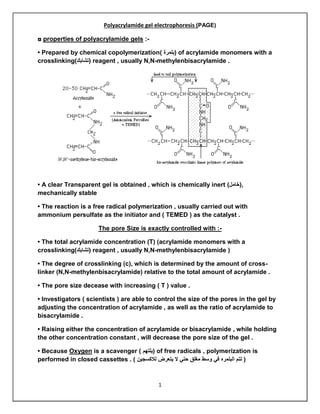 1
Polyacrylamide gel electrophoresis (PAGE)
◘ properties of polyacrylamide gels :-
• Prepared by chemical copolymerization) ‫(بلمرة‬ of acrylamide monomers with a
crosslinking)‫(تشابك‬ reagent , usually N,N-methylenbisacrylamide .
• A clear Transparent gel is obtained , which is chemically inert )‫,(خامل‬
mechanically stable
• The reaction is a free radical polymerization , usually carried out with
ammonium persulfate as the initiator and ( TEMED ) as the catalyst .
The pore Size is exactly controlled with :-
• The total acrylamide concentration (T) (acrylamide monomers with a
crosslinking)‫(تشابك‬ reagent , usually N,N-methylenbisacrylamide )
• The degree of crosslinking (c), which is determined by the amount of cross-
linker (N,N-methylenbisacrylamide) relative to the total amount of acrylamide .
• The pore size decease with increasing ( T ) value .
• Investigators ( scientists ) are able to control the size of the pores in the gel by
adjusting the concentration of acrylamide , as well as the ratio of acrylamide to
bisacrylamide .
• Raising either the concentration of acrylamide or bisacrylamide , while holding
the other concentration constant , will decrease the pore size of the gel .
• Because Oxygen is a scavenger ) ‫(يلتهم‬ of free radicals , polymerization is
performed in closed cassettes . ) ‫لالكسجين‬ ‫يتعرض‬ ‫ال‬ ‫حتي‬ ‫مغلق‬ ‫وسط‬ ‫في‬ ‫البلمره‬ ‫تتم‬ (
 