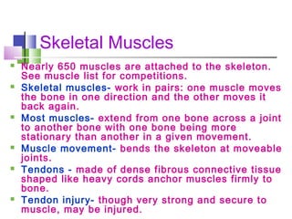 anatomy | PPT