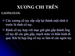 XƢƠNG CHI TRÊN
 Các xƣơng cổ tay sắp xếp lại thành một rãnh ở
trƣớc là rãnh cổ tay.
 Rãnh cổ tay hợp với mạc giữ gân gấp thành ống
cổ tay để các gân gấp, mạch máu và thần kinh đi
qua. Khi bị hẹp ống cổ tay se làm tê các ngón tay.
105
5- XƢƠNG CỔ TAY:
 