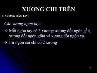 XƢƠNG CHI TRÊN
Các xương ngón tay :
 Mỗi ngón tay có 3 xƣơng: xƣơng đốt ngón gần,
xƣơng đốt ngón giữa và xƣơng đốt ngón xa.
 Trừ ngón cái chỉ có 2 xƣơng
107
6- XƢƠNG BÀN TAY:
 