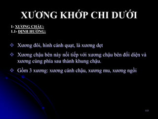 XƢƠNG KHỚP CHI DƢỚI
 Xƣơng đôi, hình cánh quạt, là xƣơng dẹt
 Xƣơng chậu bên này nối tiếp với xƣơng chậu bên đối diện và
xƣơng cùng phía sau thành khung chậu.
 Gồm 3 xƣơng: xƣơng cánh chậu, xƣơng mu, xƣơng ngồi
113
1- XƢƠNG CHẦU:
1.1- ĐỊNH HƢỚNG:
 