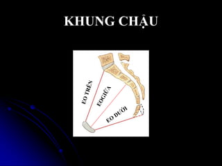 KHUNG CHẬU
 