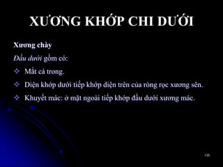 XƢƠNG KHỚP CHI DƢỚI
Xƣơng chày
Ðầu dưới gồm có:
 Mắt cá trong.
 Diện khớp dƣới tiếp khớp diện trên của ròng rọc xƣơng sên.
 Khuyết mác: ở mặt ngoài tiếp khớp đầu dƣới xƣơng mác.
135
 