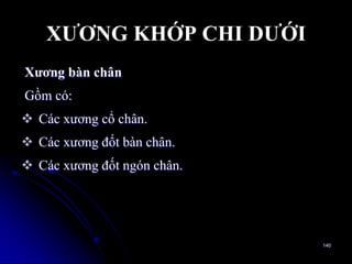 XƢƠNG KHỚP CHI DƢỚI
Xƣơng bàn chân
Gồm có:
 Các xƣơng cổ chân.
 Các xƣơng đốt bàn chân.
 Các xƣơng đốt ngón chân.
140
 