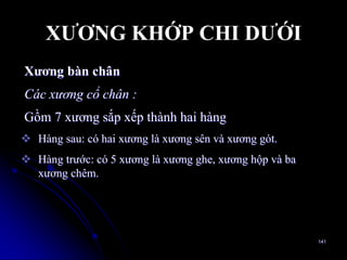 XƢƠNG KHỚP CHI DƢỚI
Xƣơng bàn chân
Các xương cổ chân :
Gồm 7 xƣơng sắp xếp thành hai hàng
 Hàng sau: có hai xƣơng là xƣơng sên và xƣơng gót.
 Hàng trƣớc: có 5 xƣơng là xƣơng ghe, xƣơng hộp và ba
xƣơng chêm.
141
 