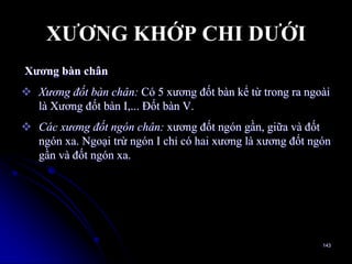 XƢƠNG KHỚP CHI DƢỚI
Xƣơng bàn chân
 Xương đốt bàn chân: Có 5 xƣơng đốt bàn kể từ trong ra ngoài
là Xƣơng đốt bàn I,... Ðốt bàn V.
 Các xương đốt ngón chân: xƣơng đốt ngón gần, giữa và đốt
ngón xa. Ngoại trừ ngón I chỉ có hai xƣơng là xƣơng đốt ngón
gần và đốt ngón xa.
143
 
