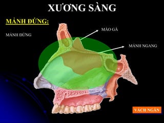 XƢƠNG SÀNG
MẢNH ĐỨNG:
MÀO GÀ
MẢNH NGANG
VÁCH NGĂN
MẢNH ĐỨNG
 