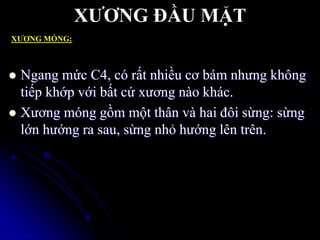 XƢƠNG ĐẦU MẶT
XƢƠNG MÓNG:
 Ngang mức C4, có rất nhiều cơ bám nhƣng không
tiếp khớp với bất cứ xƣơng nào khác.
 Xƣơng móng gồm một thân và hai đôi sừng: sừng
lớn hƣớng ra sau, sừng nhỏ hƣớng lên trên.
 