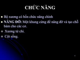 CHỨC NĂNG
 Bộ xƣơng có bốn chức năng chính
 NÂNG ĐỠ: Một khung cứng để nâng đỡ và tạo chỗ
bám cho các cơ.
 Xƣơng tứ chi.
 Cột sống.
9
 