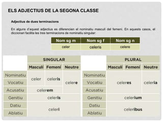 ELS ADJECTIUS DE LA SEGONA CLASSE
Adjectius de dues terminacions
En alguns d’aquest adjectius es diferencien el nominatiu ...