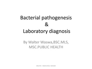 Bacterial pathogenesis
&
Laboratory diagnosis
By Walter Waswa,BSC.MLS,
MSC.PUBLIC HEALTH
WALTER WAKHUNGU WASWA
 