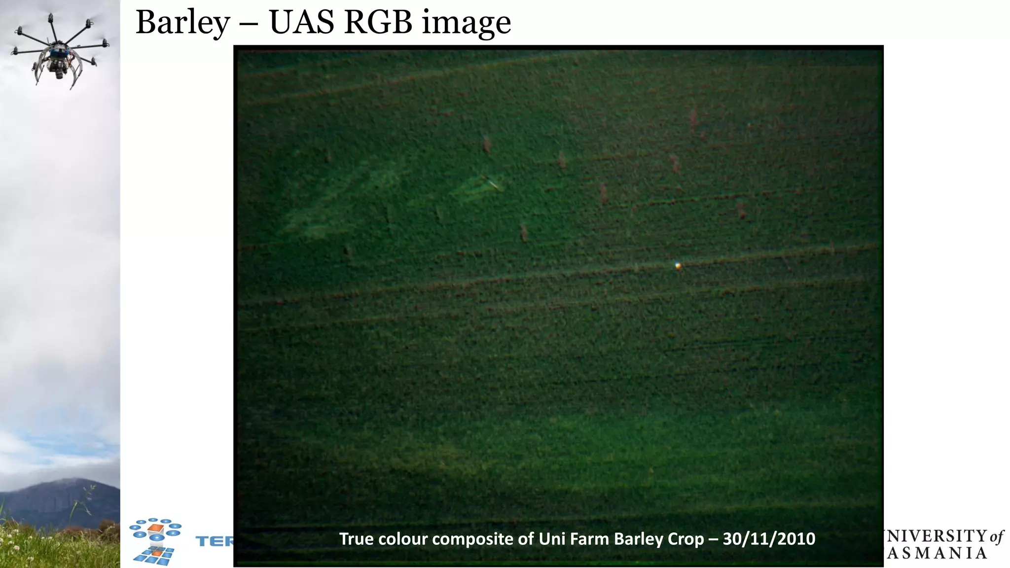 Barley – UAS RGB image
True colour composite of Uni Farm Barley Crop – 30/11/2010
 