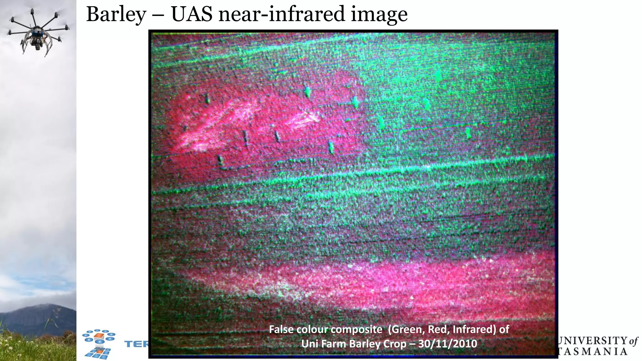 Barley – UAS near-infrared image
False colour composite (Green, Red, Infrared) of
Uni Farm Barley Crop – 30/11/2010
 
