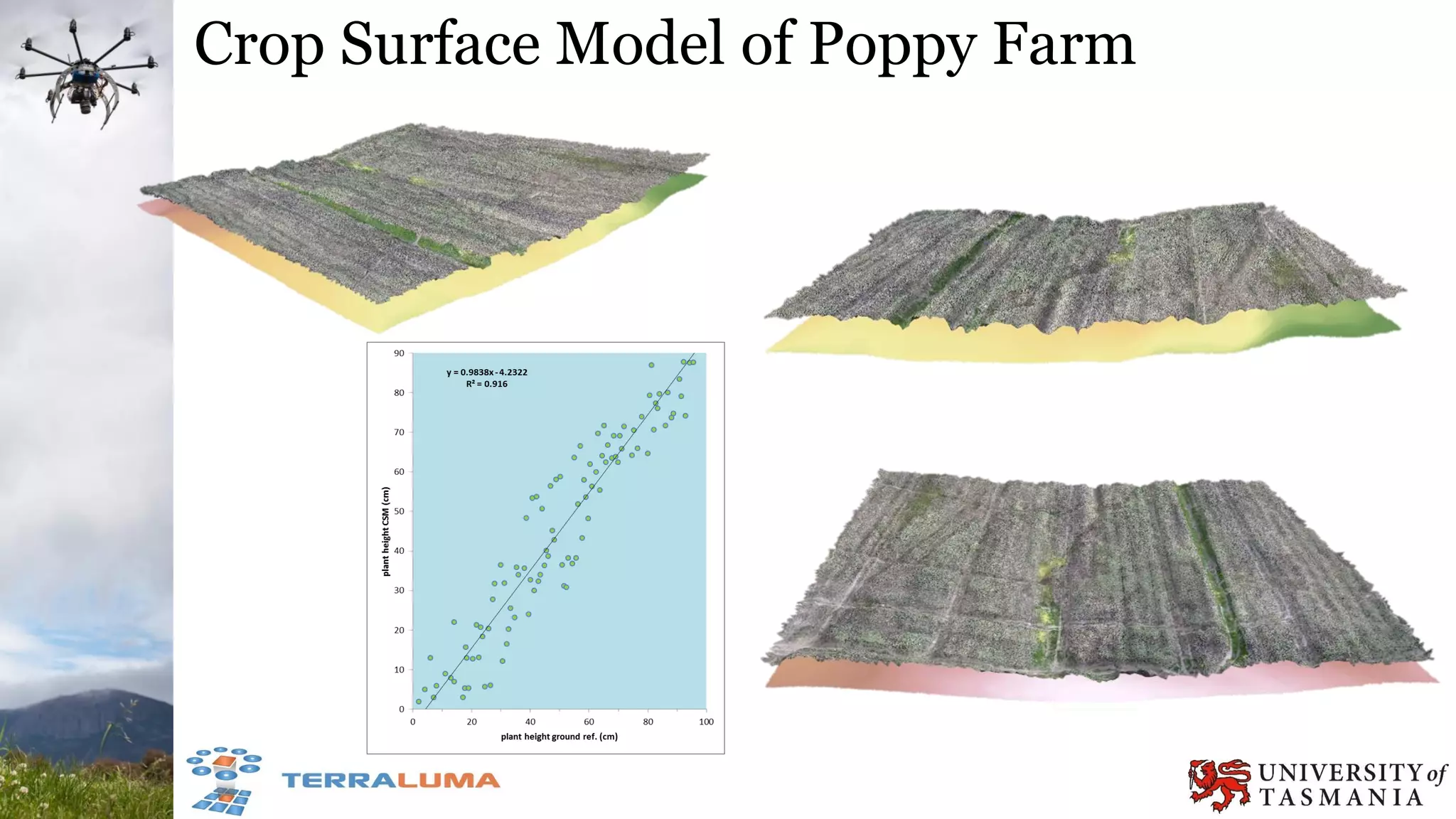Crop Surface Model of Poppy Farm
 