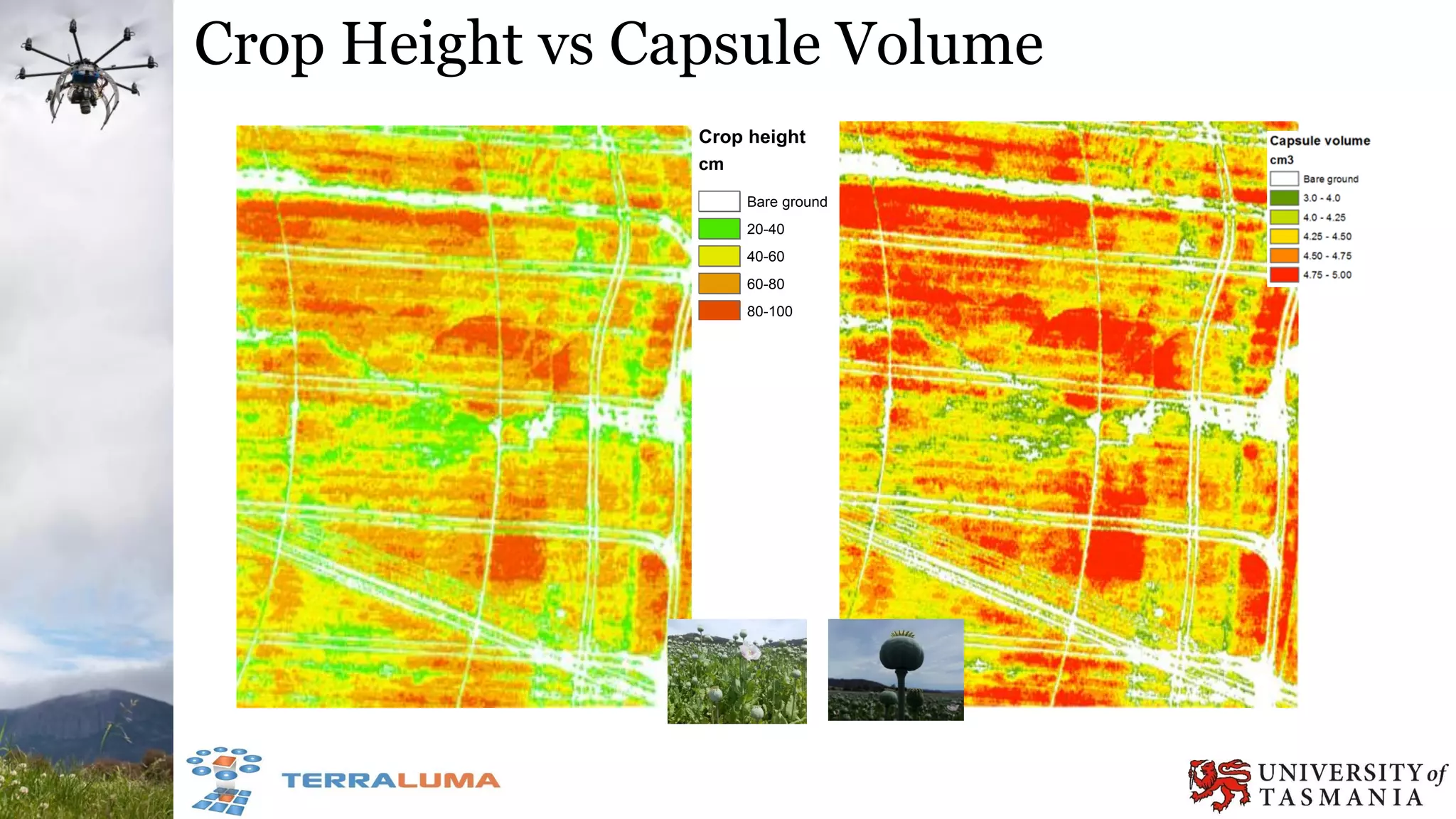 Crop Height vs Capsule Volume
Crop height
cm
20-40
40-60
60-80
80-100
Bare ground
 