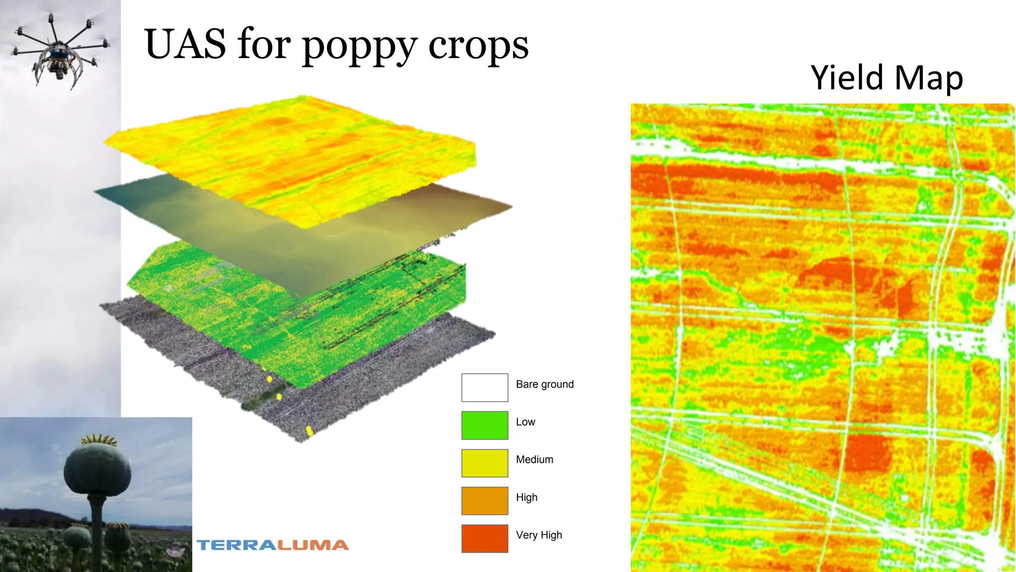 UAS for poppy crops
Low
Medium
High
Very High
Bare ground
Yield Map
 