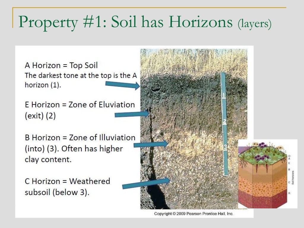 2. soil orders and their features