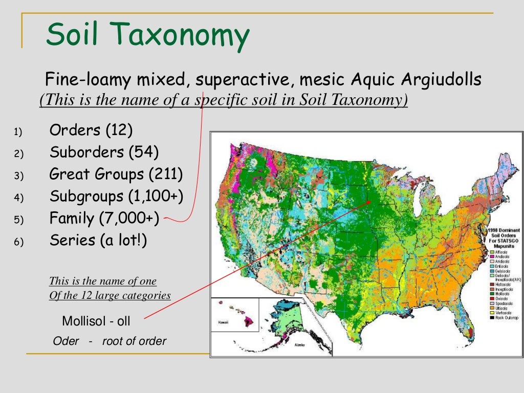 2. soil orders and their features