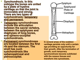  Synchondrosis.Synchondrosis. In this  In this 
subtype the bones are united subtype the bones are united 
by a plate of hyaline by a plate of hyaline 
cartilage so that the joint is cartilage so that the joint is 
immovable and strong. immovable and strong. 
There are two types of There are two types of 
synchondrosis: synchondrosis: temporary temporary 
and permanentand permanent. . 
 TemporaryTemporary synchondroses  synchondroses 
include the articulation include the articulation 
between the sacral vertebra, between the sacral vertebra, 
between the epiphyses and between the epiphyses and 
diaphyses of long bones, diaphyses of long bones, 
and spheno-occipital and spheno-occipital 
synchondrosis.synchondrosis.
 Permanent Permanent synchondroses synchondroses 
are located between the first are located between the first 
rib and the sternum. The rib and the sternum. The 
skull has such skull has such 
synchondrosis like synchondrosis like 
sphenopetrosal and sphenopetrosal and 
petrooccipital.petrooccipital.  
In several areas of the sceleton In several areas of the sceleton 
cartilage persists only until a certain cartilage persists only until a certain 
age providing an opportunity for age providing an opportunity for 
their growth. After the termination of their growth. After the termination of 
growth, such temporary growth, such temporary 
synchondrosis become subtituted synchondrosis become subtituted 
with the osseus tissues and with the osseus tissues and 
transform into synostoses.transform into synostoses.
 