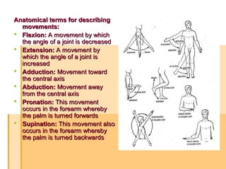 Anatomical terms for describingAnatomical terms for describing
movements:movements:
 Flexion:Flexion: A movement by whichA movement by which
the angle of a joint is decreasedthe angle of a joint is decreased
 Extension:Extension: A movement byA movement by
which the angle of a joint iswhich the angle of a joint is
increasedincreased
 Adduction:Adduction: Movement towardMovement toward
the central axisthe central axis
 Abduction:Abduction: Movement awayMovement away
from the central axisfrom the central axis
 Pronation:Pronation: This movementThis movement
occurs in the forearm wherebyoccurs in the forearm whereby
the palm is turned forwardsthe palm is turned forwards
 Supination:Supination: This movement alsoThis movement also
occurs in the forearm wherebyoccurs in the forearm whereby
the palm is turned backwardsthe palm is turned backwards
 