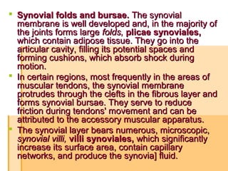  Synovial folds and bursae.Synovial folds and bursae. The synovialThe synovial
membrane is well developed and, in the majority ofmembrane is well developed and, in the majority of
the joints forms largethe joints forms large folds,folds, plicae synoviales,plicae synoviales,
which contain adipose tissue. They go into thewhich contain adipose tissue. They go into the
articular cavity, filling its potential spaces andarticular cavity, filling its potential spaces and
forming cushions, which absorb shock duringforming cushions, which absorb shock during
motion.motion.
 In certain regions, most frequently in the areas ofIn certain regions, most frequently in the areas of
muscular tendons, the synovial membranemuscular tendons, the synovial membrane
protrudes through the clefts in the fibrous layer andprotrudes through the clefts in the fibrous layer and
forms synovial bursae. They serve to reduceforms synovial bursae. They serve to reduce
friction during tendons' movement and can befriction during tendons' movement and can be
attributed to the accessory muscular apparatus.attributed to the accessory muscular apparatus.
 TThe synovial layer bears numerous, microscopic,he synovial layer bears numerous, microscopic,
synovial villi,synovial villi, villi synoviales,villi synoviales, which significantlywhich significantly
increase its surface area, contain capillaryincrease its surface area, contain capillary
networks, and produce the synovia] fluid.networks, and produce the synovia] fluid.
 