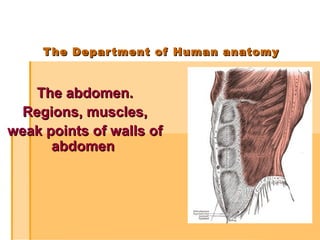 The Department of Human anatomyThe Department of Human anatomy
The abdomen.The abdomen.
Regions, muscles,Regions, muscles,
weak points of walls ofweak points of walls of
abdomenabdomen
 
