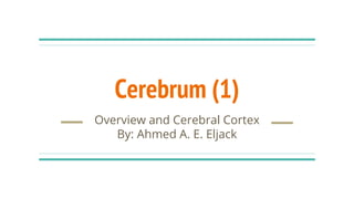 Cerebrum (1)
Overview and Cerebral Cortex
By: Ahmed A. E. Eljack
 