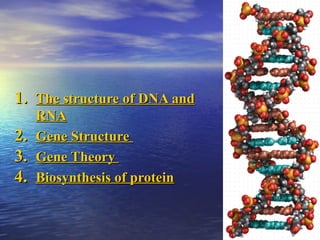 1.1. The structure of DNA andThe structure of DNA and
RNARNA
2.2. Gene StructureGene Structure
3.3. Gene TheoryGene Theory
4.4. Biosynthesis of proteinBiosynthesis of protein
 