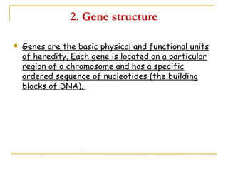 The Structure of DNA and RNA | PPT