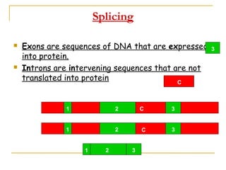 The Structure of DNA and RNA | PPT