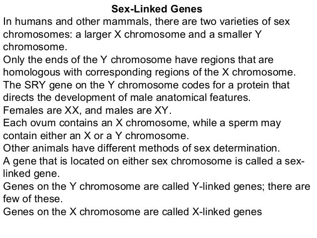 Gene heredity picture