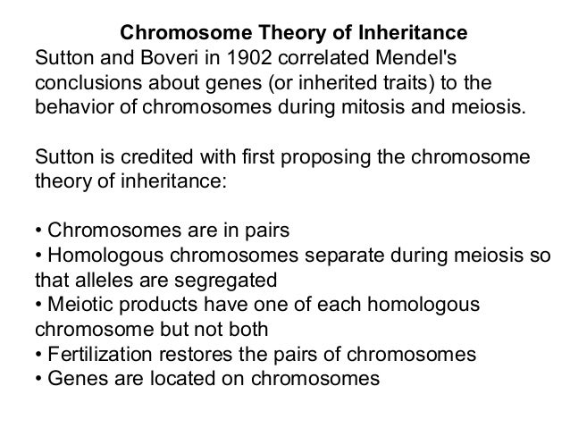 Mendel's four hypotheses image