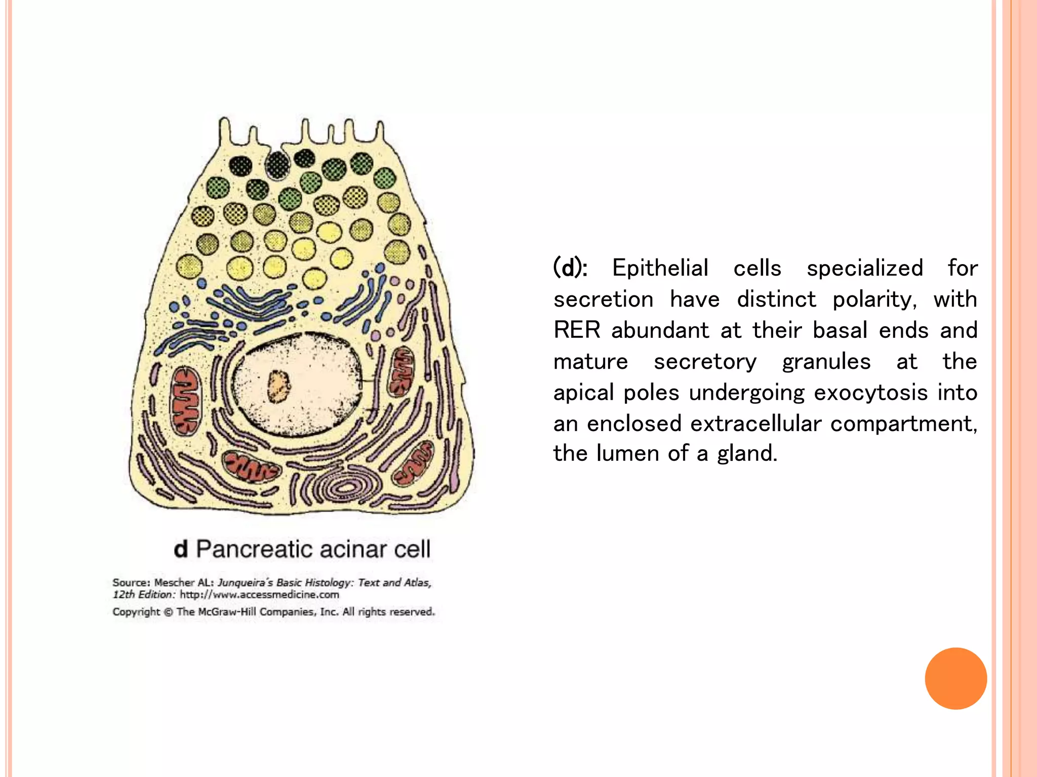 Photo inspiration: Picture Idea: General Morphology Of The Cell