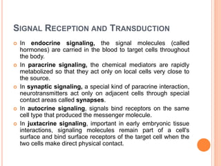 Resception Cell General morphology of the cell | PPTX