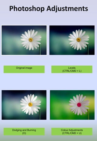 Original image
Photoshop Adjustments
Levels
(CTRL/CMD + L)
Dodging and Burning
(O)
Colour Adjustments
(CTRL/CMD + U)
 