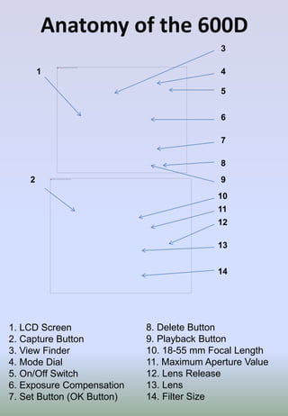 Anatomy of the 600D
1
2
3
5
4
6
7
8
9
10
11
12
13
14
1. LCD Screen
2. Capture Button
3. View Finder
4. Mode Dial
5. On/Off Switch
6. Exposure Compensation
7. Set Button (OK Button)
8. Delete Button
9. Playback Button
10. 18-55 mm Focal Length
11. Maximum Aperture Value
12. Lens Release
13. Lens
14. Filter Size
 