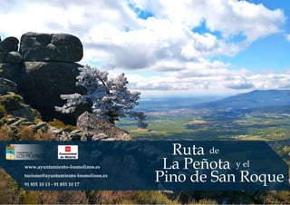 Ruta de
La Peñota y el
Pino de San Roque
www.ayuntamiento-losmolinos.es
turismo@ayuntamiento-losmolinos.es
91 855 10 13 - 91 855 10 17
 